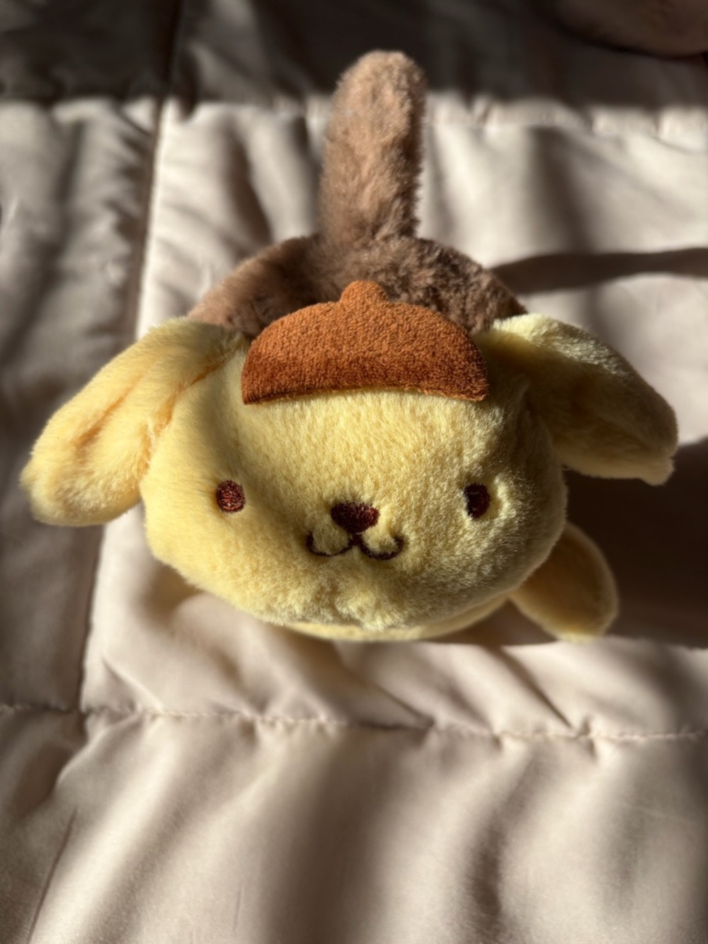 Sanrio Pompompurin Bundle